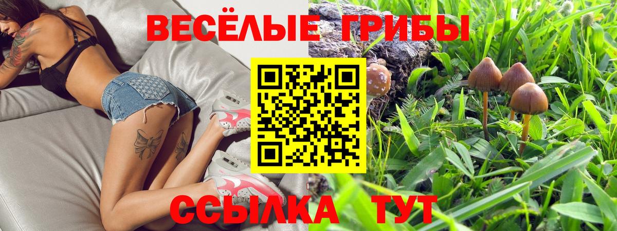 купить  цена  Вход с VPN  Дюртюли  Галлюциногенные грибы прущие грибы 